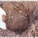 【義実家】旦那は大好きだが、旦那の妻である私が大嫌いな旦那の弟妹。旦那不在時に来ては冷蔵庫内の料理を捨てたりしてたが、ついに仕事用PCを破壊されたので、義両親に訳を話して二人の部屋から漫画類やゲームを全て撤去して庭に埋めたｗ