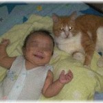 【嫁同士】義兄嫁がうちの猫の動画を無断で動画サイトにアップしていて、家や子供も映っていたのを知人が知らせてくれた。「赤ちゃんの顔なんか誰も気にしない」と義兄嫁は言うが、夫が「じゃあ兄貴のとこに子供出来たら、俺がアップしてもいいんですね」と言っても無視。そして半年後に義兄嫁が妊娠したが……