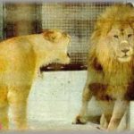 【吹いた話】親父「誰のおかげで飯が食えると思ってんだ！」と言われ「お母さん」と答えた俺→親父逆上→おかん激昂