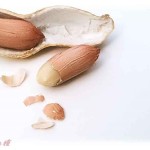 【クズ教師】嫌いな食べ物をアレルギーだと申請した生徒にブチ切れた先生に、ピーナッツアレルギー の私の申請を却下された。その上アレルギーなら証明しろ！と言われて…