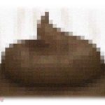 【衝撃体験】車を運転してたら空から人糞が降ってきた。とりあえず警察に通報したけど。災難だったわマジで…。