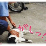 【スカッとする話】NHKの集金を警察に引き渡したったｗｗｗｗ