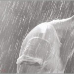 【ロミオメール】元婚約者からメール来た「僕は濡れた子犬のように震えています。 迎えに来て、家に入れて。●●子さんへ」・・・って私は●●子じゃねーよ！！