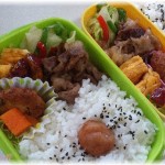 【嫁同士】義兄子と娘が同じ幼稚園なんだが、今日義兄嫁が娘の弁当を強奪したらしく幼稚園から連絡来て大騒ぎになった。