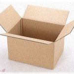 【スカッとする話】チケット購入の列に早朝から並んでいた時、列の先頭に男が割り込んできた。「前の晩から段ボールで場所を取っていた」と主張する男に友人が一言。