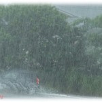 【いい話】買い物に行ったら傘立てのあたりで泣きそうになってる女の子がいた。声をかけると傘を盗まれたという。外は土砂降りだし可哀想になって自分の傘を渡すともらえないと首を振る。女の子が傘を断った理由とは･･･？