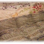 【愚痴】義実家が遊びに来たときどうしても家に泊めるという旦那。前回泊めたときだって義母はよく寝られなかったっていってたじゃん！それでも旦那は･･･。もうやだこいつ。