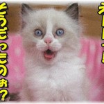 【衝撃体験】私は正社員で仕事してる、友達もいる、趣味に没頭、実家暮らしがぬくぬく過ぎてもうこれで良いから結婚する気はないのに、エリートイケメン兄は勝手に「お前（私）がショックを受けると思って遠慮してた」と、40まで結婚しなかった。そして……