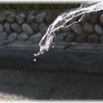 【GJ】数件隣の三兄弟の家が、お盆で兄弟全員嫁連れで帰って来てる。その家の前を 朝6時頃、犬の散歩でそこの前を通ったら、道路にでっかく「よめいびりやめて」って水で書いてあったｗｗ