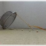 【コトメ】同居のコトメは手癖が悪く、私のものを盗む癖がある。質の悪いことにこちらは気付かないような小さなものを狙って盗る。はっきりした証拠が掴めないのでトラップを仕掛けることにした。