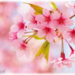 【名付けに後悔】可愛い名前だと自信あったのに周りの反応は微妙だし間違えられる。夫と私のそれぞれの名前を入れたので改名はしたくない……