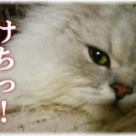 【嫁同士】義弟夫婦と私達夫婦はお金の使い方に対する考え方が違う。義弟嫁は何かとこちらのやり方にケチをつけてくる。私は東急ハンズが好きでよく気に行った使いやすそうなものを買ってくるのが無駄で無駄で見てられない、と……