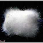 【怖い話】小学生の時引っ越し先の借家の戸建てで夜ふと目が覚めた時に天井に白くてフワフワしたものが浮いていた。白くてフワフワしたものはリビングの壁の方に吸い込まれ、暫くたって母の悲鳴が聞こえた。