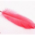 【ウルッとくる話】ボケてるトメが「素敵な物を入れる箱が欲しい」と言うので、収納ケースを渡してみたらトメさんが大事なものを無造作に詰めはじめ、最後に……