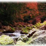 【墓場まで持っていく話】渓流釣りに行ったら木に吊られた人を見つけてしまった。でも通報した場合の面倒くささを考えて放置した。こっちを向いてなかっただけよかったけど今でも…