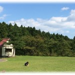 【DQN返し】うちの両親は小さな別荘を持っている。その話をぽろっとしたら義弟嫁が食いついてきた。その後別荘を使わせてくれと言ってきたんだけど先約がいて無理だと伝えたら謎の上から目線で説教された。それだけでも腹がたったのに夜に義弟から電話でさらに意味不明なことを言われイライラMAX。じゃあ…