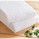 【夫婦】旦那が風俗でエイズ貰ってきたが本人が開き直ってて腹立つ。体中の吹き出物ひっかいてしょっちゅう血を流しているくせに子供たちに自分が使ったタオルを使わせて腹が立つ。