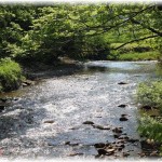 【修羅場】夏に名前も知らない友達とかクラスの皆で川で遊んでいた。解散するときに見知らぬおばさんがうちの子はどこかと聞かれたが分からなかったので無視したらいきなりビンタされた。そのおばさんの子が後日水死体となって発見された。