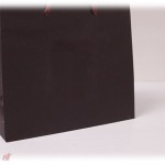 【誰にも言えない話】大学生の時、電車で爆睡していてハッと起きると降りる予定の終着駅についていた。もうみんな降りた後で誰も電車には乗っていなかったのだが、私の隣には見慣れぬ袋があった。それを見た私は…。