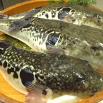 【泥ママ】旦那が釣ってきたカツオをご近所にお裾分けした数日後、A一家がやってきていきなり「人殺し！お前が魚に毒を入れたから親が死んだ！！」と叫んで暴れだした。A一家にはお裾分けなんてしてないし・・・もしかして！