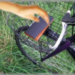 【黒い過去】自転車のカゴに置き忘れられてた財布を見つけ、札だけ抜き取って財布はドブに捨てた。その数日後、財布の持ち主である隣人がしんだ・・・