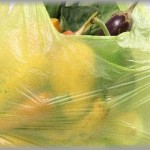 【スカッとするＤＱＮ返し】食品レジのバイトしているスレ主が会計時、おばさんと支払の事で揉める。その後、おばさんが有料の買い物袋を迷惑料の代わりによこせとごねる。そこで、おばさんを黙らせたおばさんの次に接客したお客さんの一言とはｗｗｗ