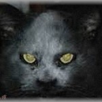 【因果応報】猫嫌いで猫を見ると虐殺していた男。やがて結婚して生まれてきた子供を見てみたら・・・！