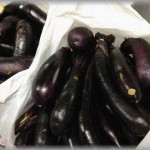 【スカッとする話】トメがナスをいっぱい持ってきてくれた。「秋茄子は嫁に食わすなって言うけどね・・・」