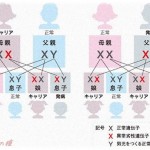 【愚痴】5年前に離婚した元嫁から「去年、○○病の子を出産しました。あなたからの遺伝なので治療費払ってください」と連絡が来た。