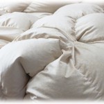 【衝撃体験】仕事から帰ると部屋の電気がついてるのが見えた。付けっぱなししちゃったかな？と思いつつ玄関を開けると醤油の匂いが。大家さんを起こして話をすると警察を呼ぼうとなって、警察と一緒に家に入るとテーブルには煮物、ベッドの中には…知らないおばちゃん？？？？？