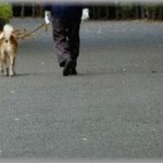 【胸糞悪い話】子供の頃から仮面ライダーが好きだった俺は、将来ライダーになると決心。そんな俺も結婚し、犬飼って暮らしてた。ある日犬の散歩をしていると・・・