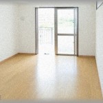 【DQN】同棲中の彼女がミニマリズムにハマり、何でもかんでも処分させようとしてきた。同棲解消を考えだした頃、ある朝起きたらPC類がすべて消えていて・・・！