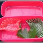 【キチ】同じマンションのキチママが、すれ違いざまに私の持ってた空の弁当を引ったくり「急いでるから！お弁当いただくわ！！」