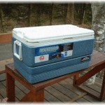 【図々しい話】同僚の女に「今度の連休に彼氏と釣りに行くんでクーラーボックス貸してください」と言われ当然断ったが・・・