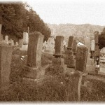 【不気味な体験談】５年前、肝試しのつもりで行った霊園の話