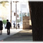 【ずうずうしい話】うちの敷地を通ると近くの中学校への近道になるらしく、遅刻しそうな子がよく通り抜けていた。我が家としても怒るわけでもなく黙認してたんだけど、ある日、大掛かりな工事が入ることになって、危険だからと門を閉鎖することにした。するとその日うちを通れずに遅刻者が何人か出たらしく苦情が入った。しかも苦情を言ってきたのは…。