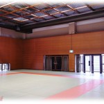 【修羅場】娘が柔道をやっていたとき、通っていた道場の先生を怖いと言いだした。話を聞くと体罰や暴言があるようだったが、まぁそのくらいは…というレベルだった。しかし、その内容を詳しく聞くとどうもセクハラが混じっているようだった。ある日その先生を古本屋で見かけたので挨拶がてら探ってみようと思ったら、その先生が手に持っていたものは…。これはアウト。