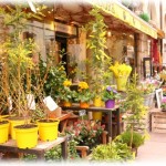 【ずうずうしい話】自分も何度か買い物に行った店のオーナーが、自分の花屋に買い物に来た。そこで高飛車に注文をつけてきたので「何度かそちらで買い物してます」と言ったんだけど、オーナーの反応は「あ、そう」。しかもさらに偉そうに言うので出来ないと言うと…。