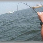 【スカッとする話】自動車整備会社の外注デザインの仕事をしていた。そこの会社に使えない40代半ばの社員が入ってきて好き放題。休みも自分を優先に入れては釣りをしに行ってる。そんなある日の会議の時上からな感じで話かけられた。