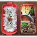 【馴れ初め】俺は母を小さい時に亡くしてから家事全部をやっていたので料理は得意。後輩の女の子に「好きな人に料理上手をアピールしたいから代わりにお弁当作って」と頼まれる→嘘がバレて後輩フラれる→後輩に料理教えるようになる→結果