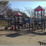 【恐怖体験】自転車で少し遠出をしたら結構広くて遊具が充実してる公園を発見した。息子とベンチに座って水筒出したら大家族がわらわらと出てきて群がってきた。