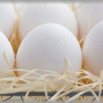 【DQN返し】娘が卵アレルギーと蕎麦アレルギー持ち。義父と義母はアレルギーは甘えという考えの方々。ある日送られてきた娘へのプレゼントが卵未使用と書かれた市販ケーキだったので娘と食べた。