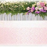 【墓場まで持っていく話】中学生の頃、病弱だった従姉が亡くなった。遺体は火葬されるまでうちで安置することになったんだが、蝋燭と線香をあげたりドライアイスを入れたりというのを昼の間は自分ひとりでやることになった。納棺を翌日に控えたその日も付き添っていたんだけど、ドライアイスを入れようと従姉の腕を取ったその時、俺をある衝動が襲った。