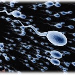 【おぞましい姑】うちの姑は次男教で、長男嫁の私が産んだ娘が次男に似ていたらしく「次男くんにそっくり！次男くんの精○だったりしてぇ～」と気持ち悪いことをいってくる。さらに言われた言葉にもうこの人と付き合っていくのは無理だと結論付けて疎遠にしていってる。