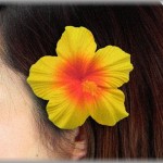 【修羅場】姉にもらったお気に入りの髪飾りをつけて毎日登校していたけど、ちょっと飽きたころに違う髪飾りをして学校へ行った。そしたらなぜか今まで話したこともないクラスメイトが話しかけてきて…