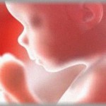 【クズ】私と元旦那は小梨で生きていこうと決めていたんだけど、元旦那から避妊は無しでお願いしますと言われた。妊娠したらその度におろせばいいじゃんだってよ。