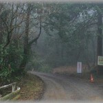 【スカッとする話】弟夫婦から車を貸してほしいと言われたが、新車購入から１ヶ月も経ってないので断った。すると勝手に持ち出してキャンプに行ったので取り返しに行くことにした。