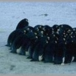 【墓場まで持っていく話】小学生の頃、無口で変わった子に付きまとわれて困っていた。夏休みのお祭りにも勝手についてきたからさすがにイライラして、その子を巻いた結果…