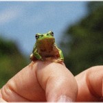 【復讐】高校で再会した小学校の同級生が不良になっていた。彼に小学生の頃、女子にイジメられていたことを打ち明けたところ・・・。