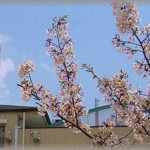 【無知ママ】保育園から会社へ呼び出しがあったのだが、事務の報連相がしっかりしていなくて迎えに行くのが遅れた。園長室で事情を話していると、同じクラスの子のママに腕をがっしり掴まれた。「あなただけずるい」